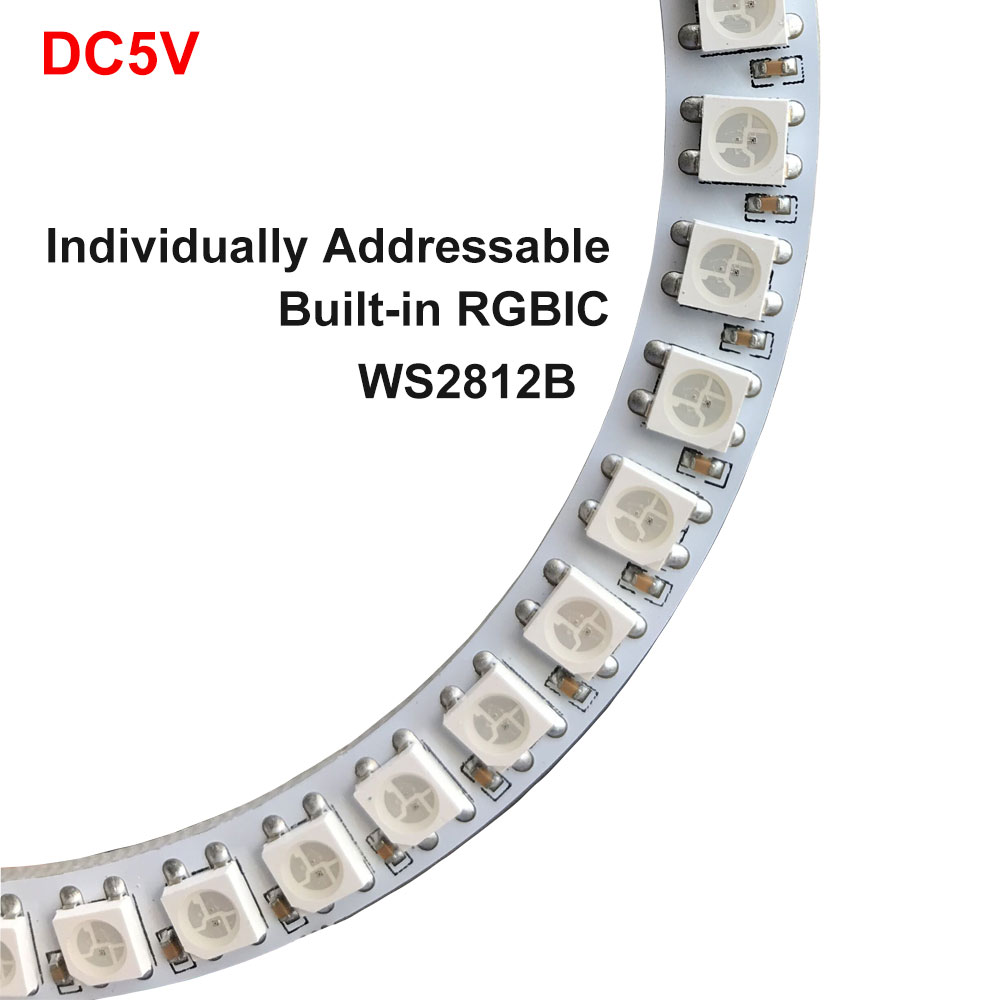 DC5V 12V WS2812B SK6812 Luces  - Ws2812B Strip 5V ulasan dan harga